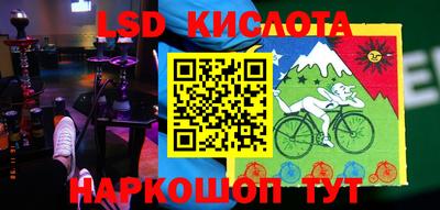крисы Кандалакша