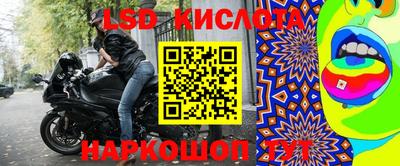 дживик Камышлов