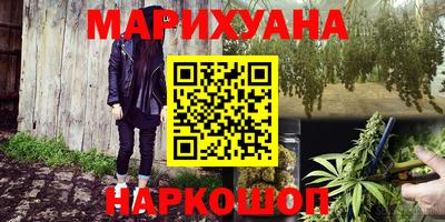 крисы Кандалакша