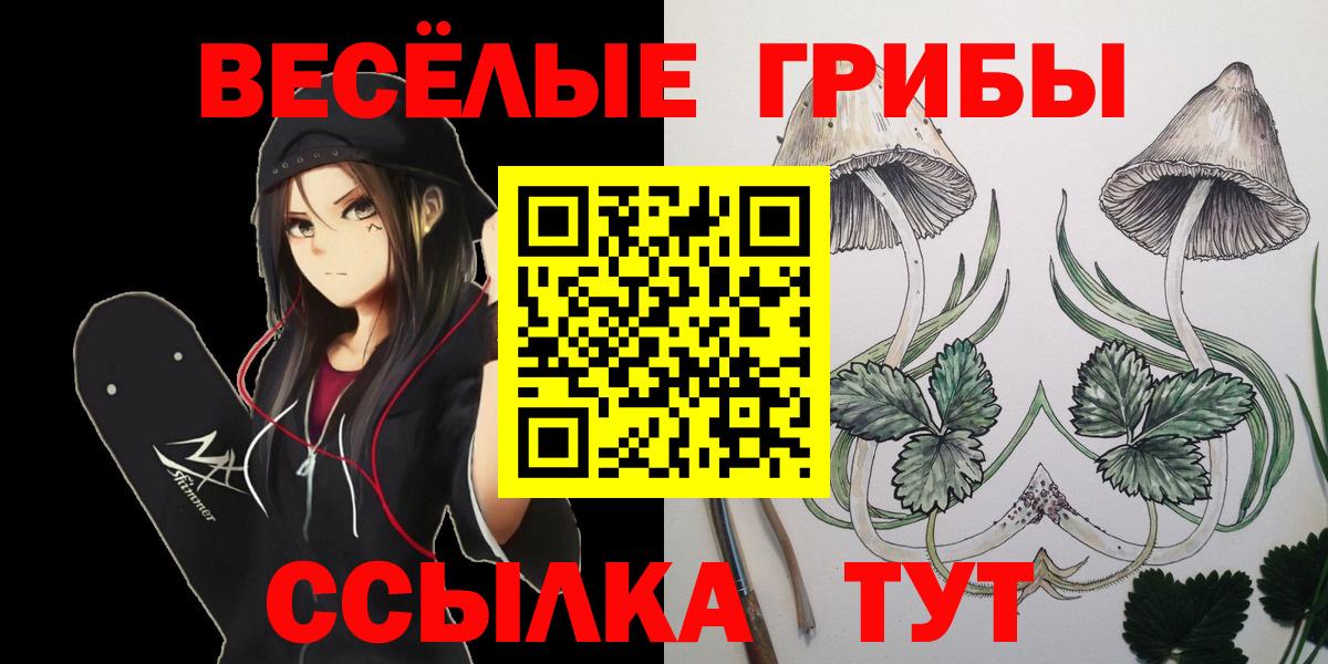 Псилоцибиновые грибы Magic Shrooms  Галлюциногенные грибы прущие грибы  как найти закладки  Вход с VPN  Коряжма 