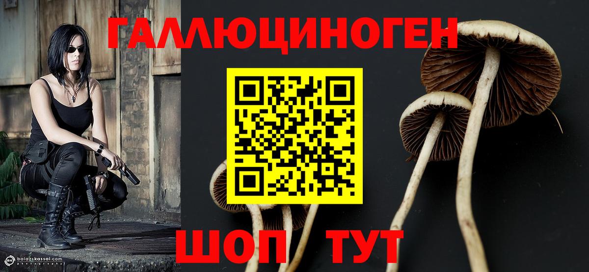 Бутират Коряжма